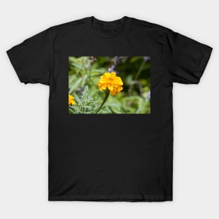 Marigold T-Shirt